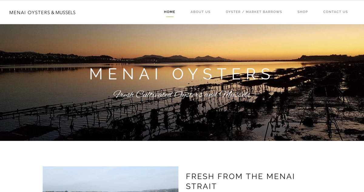 Menai Oysters screenshot